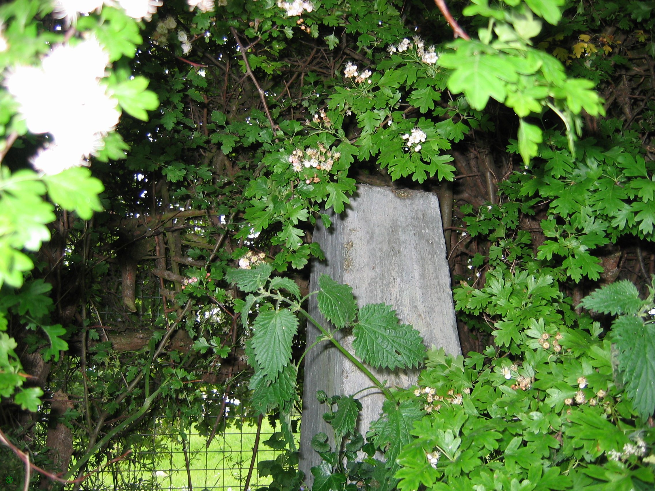 Greenwich Meridian Marker; England; Cambridgeshire; Swavesey